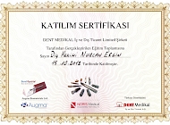 Dent Medical Domestic and Foreign Trade Company Participation Certificate